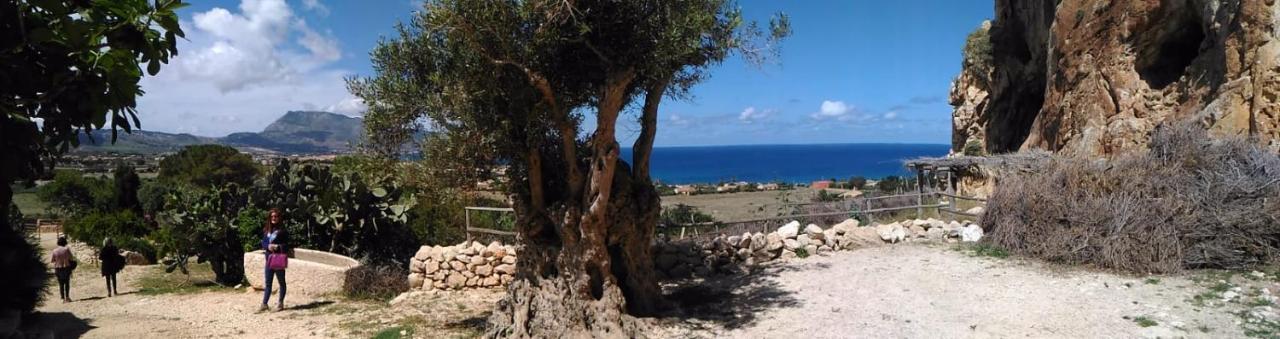 Baia Cofano Home Custonaci Eksteriør bilde
